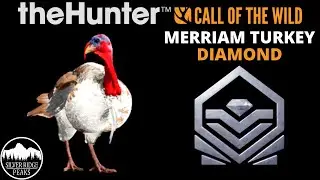 DIAMOND 😲 Merriam Turkey (Light Brown) in theHunter Call of the Wild | SILVER RIDGE PEAKS