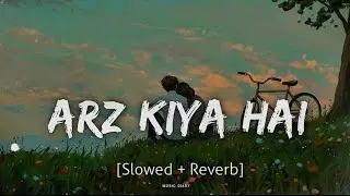 Arz Kiya Hai✨ Slowed Reverb Song❤️ Lofi Full Song 🥀 #slowedandreverb #arzkiyahai 