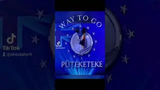 AND THE WINNER OF THE BIRD OF THE CENTURY IS ... THE  PUTEKETEKE 🤣🤣🤣 BY A LANDSLIDE