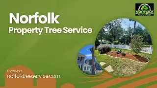 Norfolk Property Tree Service - Tree Removal Service Boston MA | Tree Trimming | Stump Grinding