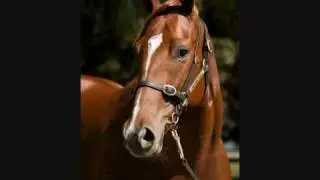 BELLERIVE STUD AEYS LOT 135 Chestnut filly by Hussonet (USA) ex Oceanette (USA), by Pancho Villa