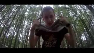SteK - V&aacute;ltoz&oacute;
