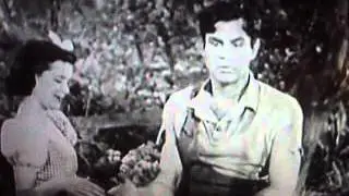 MOV01751  (  how the Eskimo 's kiss )