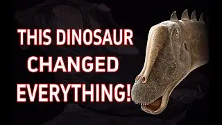 The Real History of Dippy | Carnegie Museum&rsquo;s Legendary Diplodocus