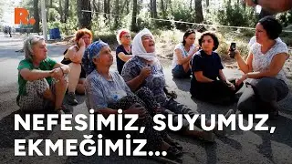 Akbelen'de ağaçları savunuyorlar: Bıçağımız yok, taşımız yok, bir gariban köylüyüz...