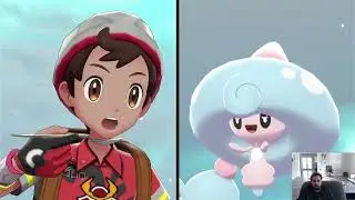 Pok&eacute;mon Sword: Curry Pok&eacute;mon Only Nuzlocke Part 14 (Yapping and Team Searching)