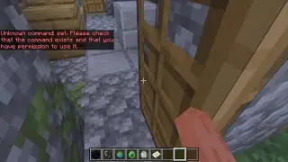 Playing Minecraft.
