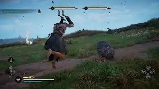 Assassin's Creed Valhalla - Elder and Young Lynx