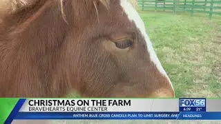 Bravehearts Equine Center hosts 'Christmas on the Farm'