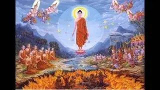 &ldquo;Wisdom&rsquo;s Shore&rdquo; #Earth Guardians #New Trends #Love Nature #Music for Soul