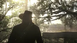 Red Dead Redemption II - Fare you well, dear Sean - Camp Song (Susan and Karen Song)