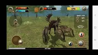 Wild Wolf Sim Full Gameplay 2