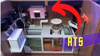 Instalei um ATS no meu aquário marinho.