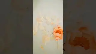 Create a luxurious milk 🥛 bath😍#milk bath#shorts #viral #trending