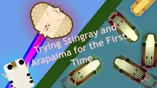Playing Stingray and Arapaima for the First Time