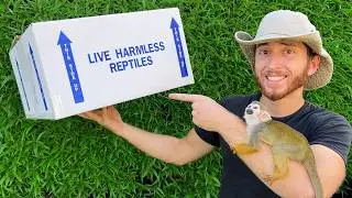 Unboxing Rare Tortoises at Exotic Animal Ranch - Tour & Surprise!