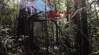 นอนห้างเก่าต้นไทรใหญ่ในป่าลึก เจอจังๆเกือบลงจากห้าง ดวงไฟปริศนา ใช่ผีชินหรือป่าว ep.31.Mystery Light