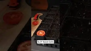 🍅 Что произойдёт, если сажать семена томатов прямо из овоща? Я ИЗУЧИЛ это, чтобы узнать!