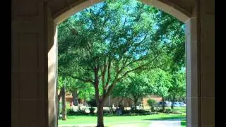 TLU - Campus