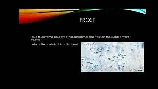 Forms of Precipitation ( fog , dew and Frost )