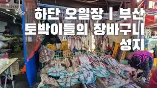 🏪 하단 오일장 | 부산 토박이들의 장바구니 성지