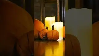 Autumn Wedding at The White Hart Great Yeldham #wedding #weddingvenue #weddingvideographer
