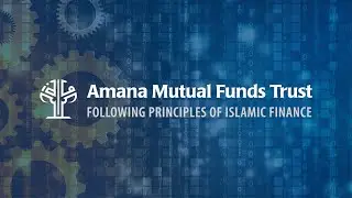 Behind the Scenes: A Closer Look at the Amana Participation Fund Investment Process