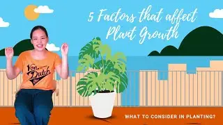 5 Factors that affect Plant Growth (What to consider in planting?) | Mind-Blowing Science EP. 1