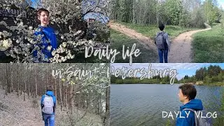 Daily life in Saint-Petersburg's region. Walking near the lake. Life in nature.