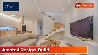 Amsted Design Build Partnership - Mold Busters