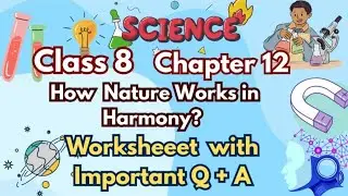 Class 8 Curiosity Chapter 12 | How Nature Works in Harmony | Imp. Q+ A Complete Worksheet 🔥 cbse