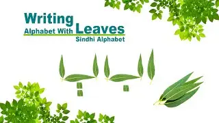 Writing Alphabet With Leaves | Sindhi Letters | Nature Activity