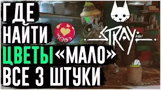 Stray | Где найти все 3 цветка для Мало | Все цветы