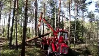 Kranman Bison 10000 &ndash; Demok&ouml;rning
