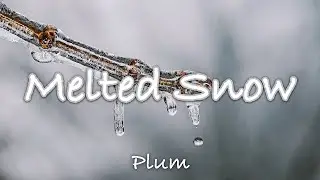 눈이 녹고 봄이 오듯이 / Melted Snow by Plum