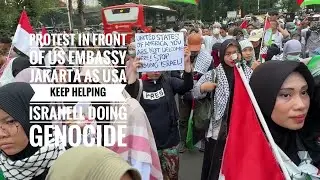 Demonstration Pro Palestine 25102024