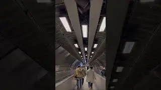 #england #unitedkingdom #london #christmas #nature #short #trending #uk #shortvideo #trendingshorts