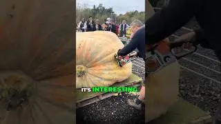 I segreti della coltivazione della zucca gigante svelati #fatti #soddisfacente #sfida