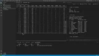 15. Python - explore and clean the data