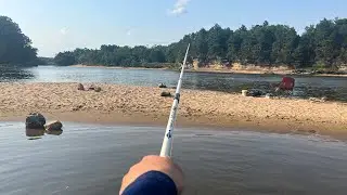 This Sandbar is full of Flatheads!!!(Wisconsin Dells)