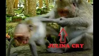 MG! Jade Reject Milk Baby Monkey Julina Cry silent angry Her Mom