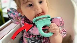 Review of the Frida Baby Push Pop Feeder for Baby-Led Weaning
