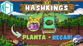 Hashkings alguns dicas para principiante