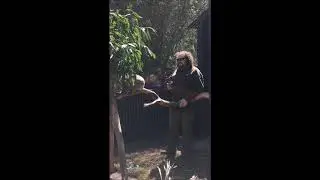 Australian Ecosystems Foundation open day