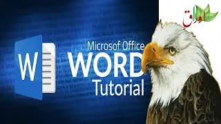 MS Word :Table of Contents