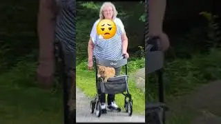 Feline Service pulling up