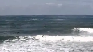 Surf Lafitenia October 30th