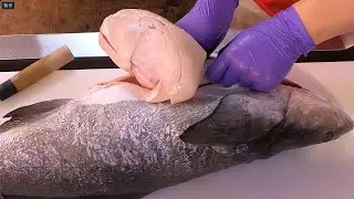 Как филе кобии | Black King Fish САШИМИ-тайваньские морепродукты