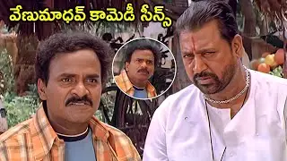 Venu Madhav And Narsing yadav Best Comedy scenes | Telugu latest Comedy scenes Back To Back