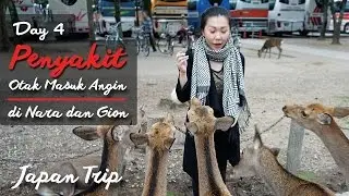 Travel Vlog JEPANG hari ke 4 : Penyakit Otak masuk angin, NARA, GION, JEPANG / AWI WILLYANTO